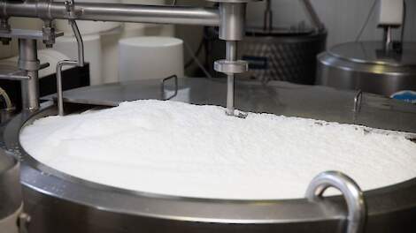 Wetenschappers maken melkeiwit met inzet van E. coli-bacterie