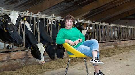 Column: Mitfahren! Over trekkers, stikstof en stadsmeningen