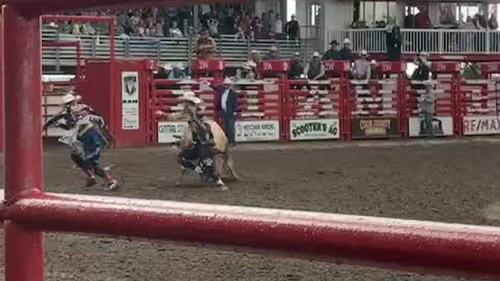 Bullriding is een van de meest spectaculaire en risicovolle onderdelen van de rodeo.