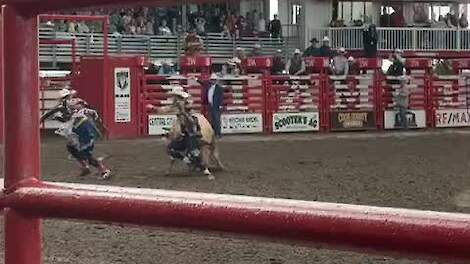 Bullriding is een van de meest spectaculaire en risicovolle onderdelen van de rodeo.