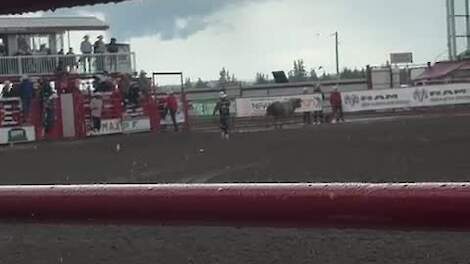Bullriding is een van de meest risicovolle en spectaculaire onderdelen van de rodeo.