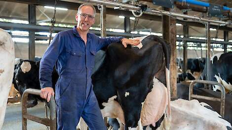 Video: Boerenkoeienveiling slot van 12,5 jaar melken in de polder