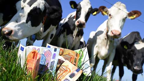 Melkprijzen Eko-Holland stijgen weer licht in augustus