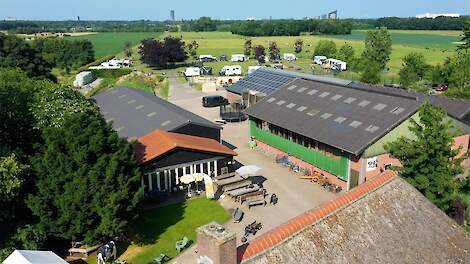 Video: Beleefboerderij Van ’t Zandeind: ‘We zijn groot geworden door klein te blijven’