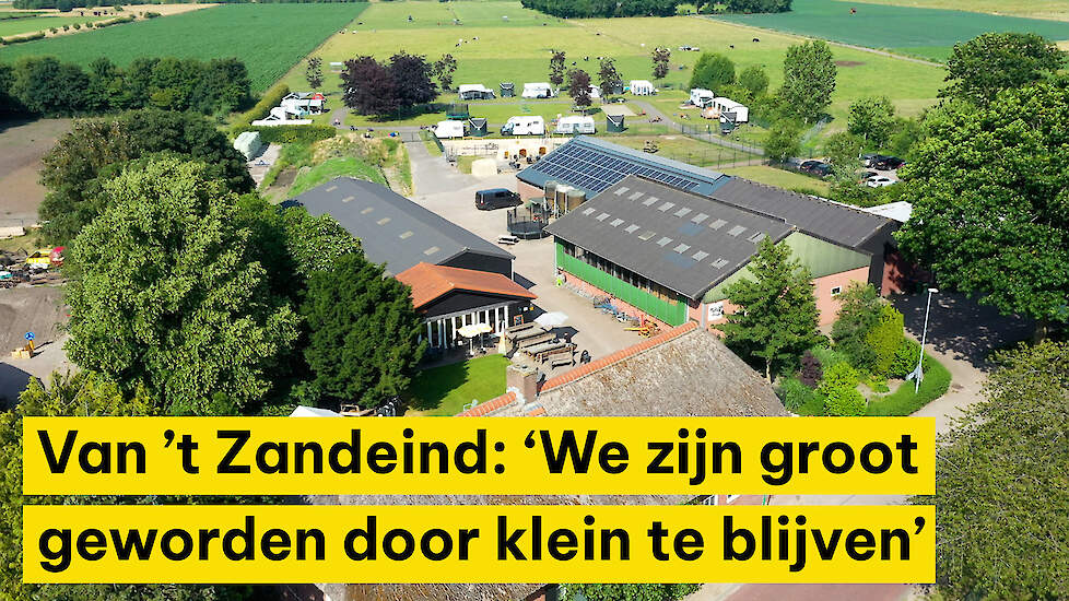 Beleefboerderij Van ’t Zandeind: ‘We zijn groot geworden door klein te blijven’