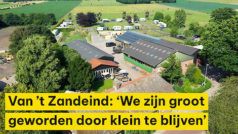 Beleefboerderij Van ’t Zandeind: ‘We zijn groot geworden door klein te blijven’