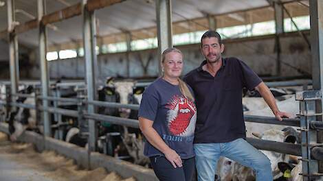 Verdienmodel met drie bedrijfstakken op voormalig melkveebedrijf