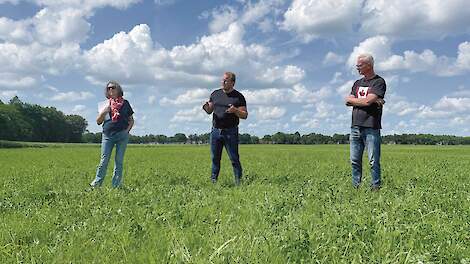 Zo haal je meer uit je kruidenmengsels en ultravroege maïs
