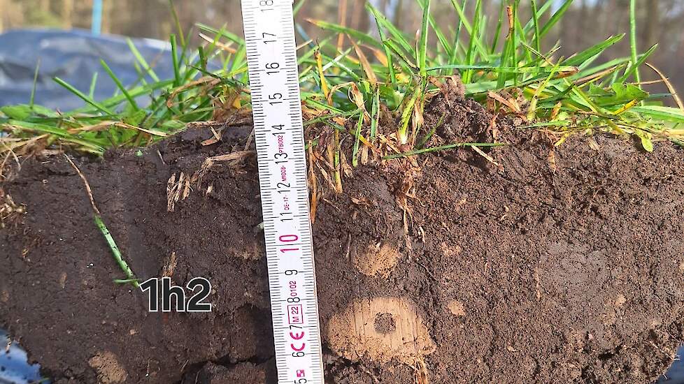 De beste menging van klei en zand wordt verkregen door de klei een winter boven op het perceel te laten verweren en in het voorjaar de gewenste bodembewerking uit te voeren voor de volgteelt. Een alternatief is het verkleinen van de klei door bijvoorbeeld