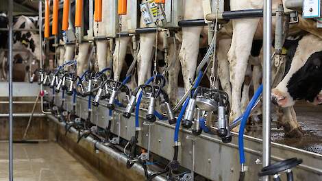 Brabantse melkveehouder zit opgescheept met strenge geluidsrestricties: 'Compleet gestoord!'