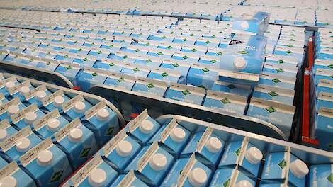 FAO: Zuivelprijzen dalen licht, kaas blijft stijgen