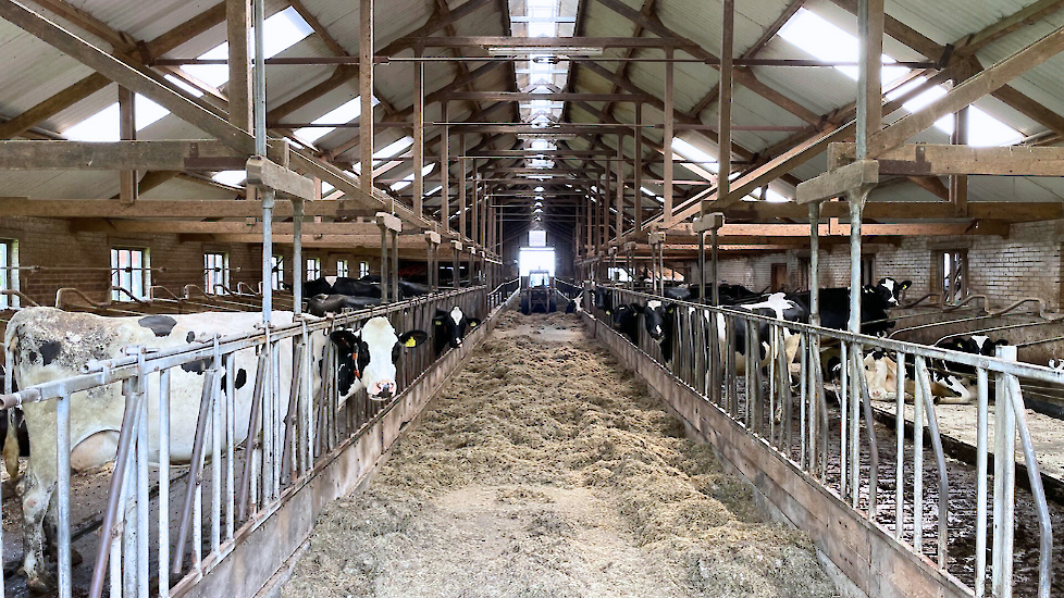 Voergang Melkveebedrijf Poel