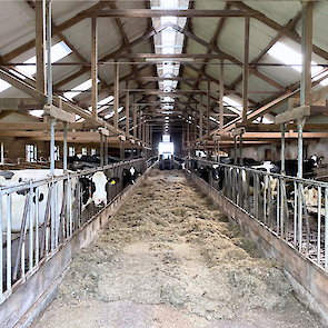 Voergang Melkveebedrijf Poel