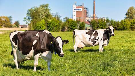 Melkprijs Vreugdenhil in augustus onveranderd op 56,84 euro