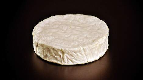 Listeria-besmetting in Frankrijk: twee doden na consumptie van kazen