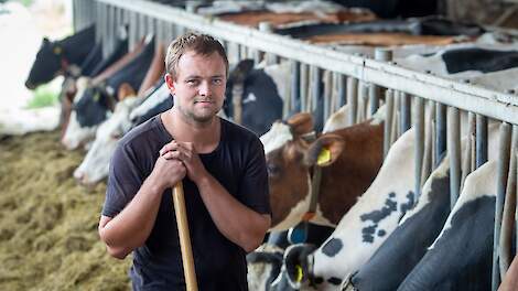 Melkproductie daalt van 8.600 naar 6.200 kilo melk per koe: ‘Er moet iets zijn wat de koeien onder druk zet’