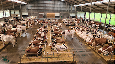 Verbeter diergezondheid, stalklimaat en bodemvruchtbaarheid met een stalstrooisel op basis van FX-mineralen