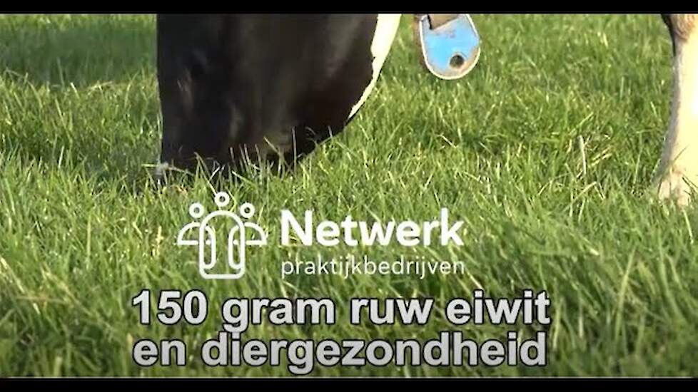Lager ruw eiwit in het rantsoen? Ja dat kan! - NPB