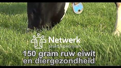Lager ruw eiwit in het rantsoen? Ja dat kan! - NPB