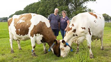 Franka en Arnoud hopen verder te extensiveren
