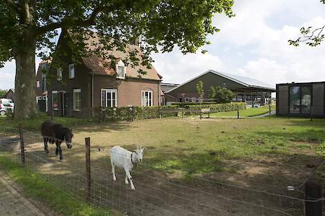 Bedrijf Netwerkdeelnemers Franka en Arnoud - NPB