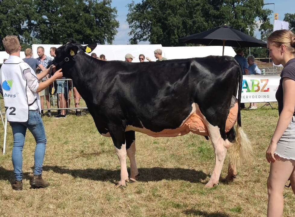Coba 438, de reservekampioene van de middenklasse.