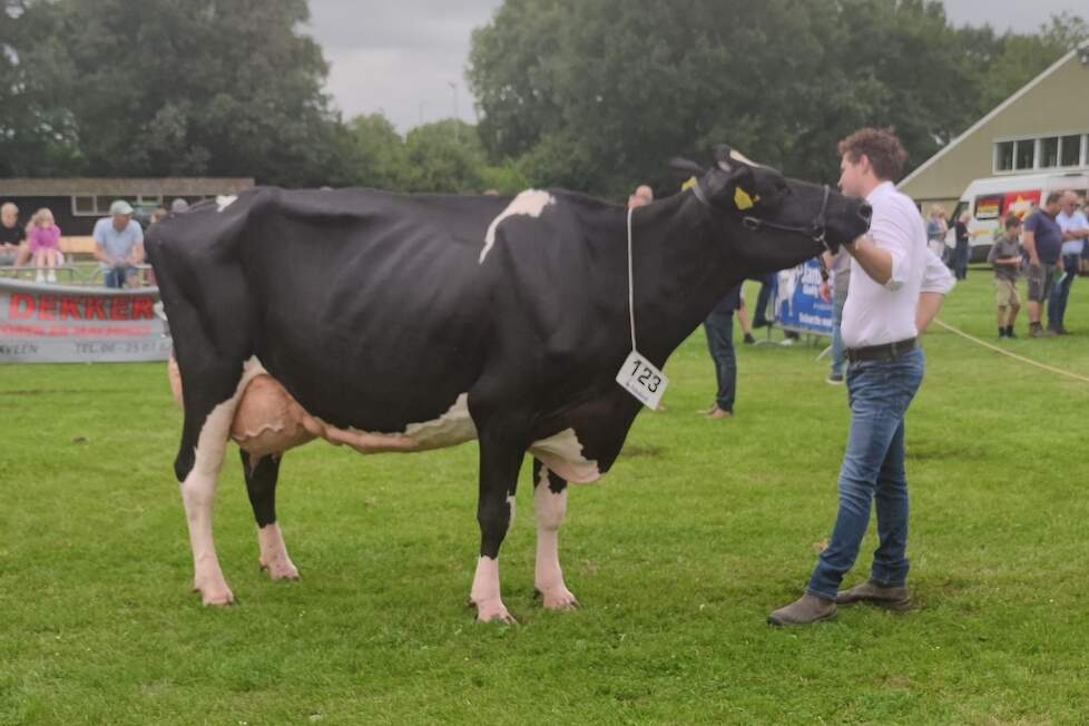 Winters Farm Truusje 520, 1A in de eerste seniorenrubriek.