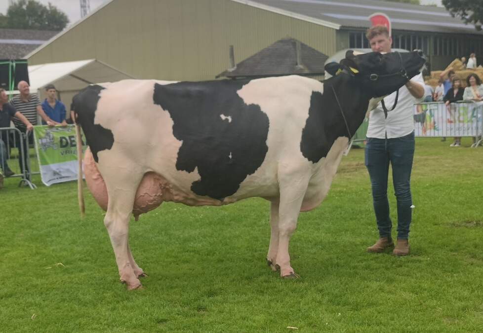 Winters Farm Beppie 531 werd reservekampioene senioren.