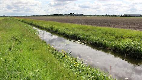 Agractie reageert op het 8e Nitraat Actie Programma: 'Doelsturing voor graslandbedrijven niet doelmatig'