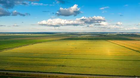 Gevolgen einde derogatie voor gebruik gras- en bouwland