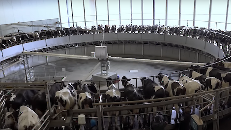 Familie Van Bakel vooral opgelucht na terugdraaien faillissement Vreba Melkvee