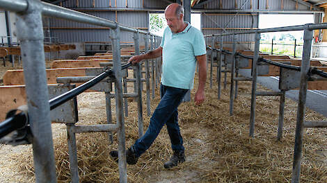 Familie Aantjes blij met nieuwe stal voor scherp budget