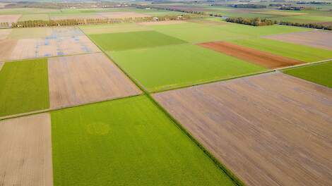 GLB-korting bij herhaalde overschrijding kadastrale grens