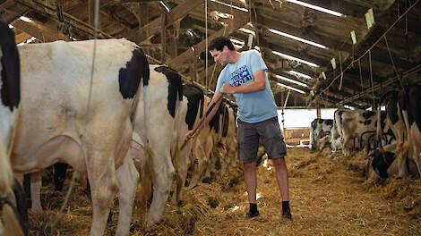 ‘Als dierenwelzijn niet op orde was, zou koe niet zo oud worden’