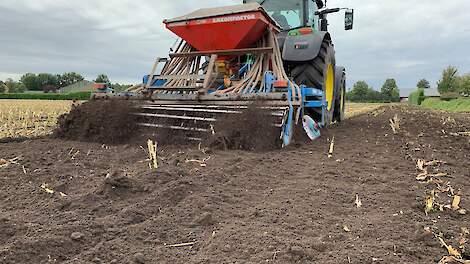 Wat zaai ik in na mais?