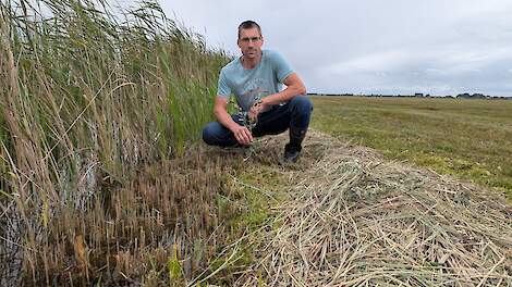 Veenboeren Bodegraven eisen uitstel afplaggen bij rechter