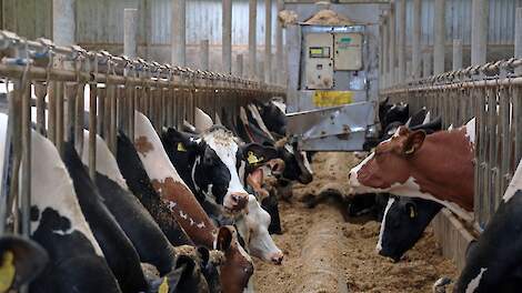 Thema-dag: Automatisch voeren › Thema-dag “Automatisch voeren” te Bakkeveen