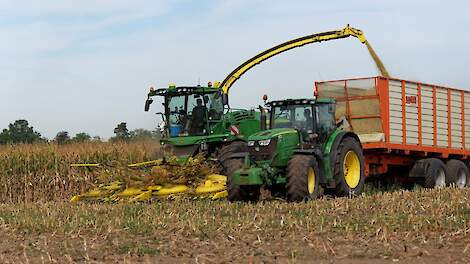 Video: &#039;Ultravroege mais is beter voor de boer, de bodem en de koe&#039;