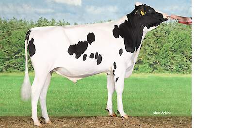 Rectificatie TIP-lijst vakblad Melkvee