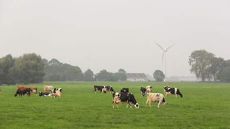 Initiatiefwet grondgebondenheid van NSC en ChristenUnie ter inzage: ‘Open uitnodiging voor kritiek’