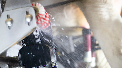 Uiergezondheid en hittestress: celgetal onder controle, ook na warme periodes