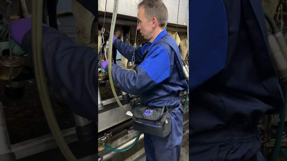Heemskerk Dairy - Teater Clean