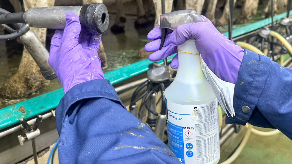 desinfectie tepelvoering Kenoxylac