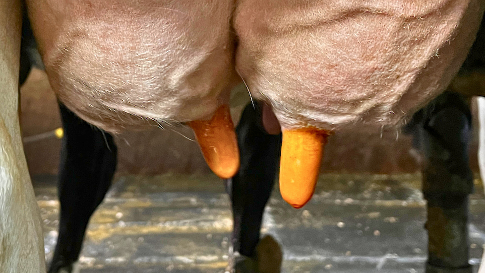 Speendesinfectiemiddel spenen