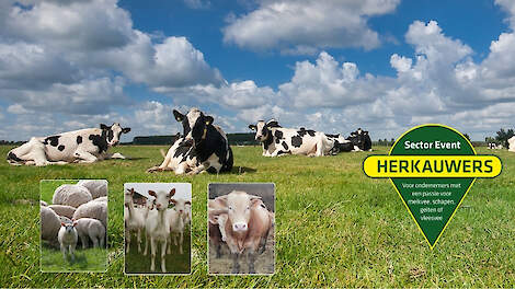 Meld u aan voor ons Sector Event Herkauwers op 13 september op onze productielocatie in Wageningen