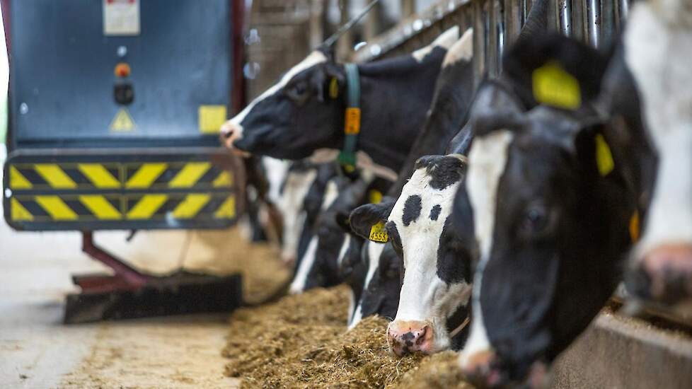 80 ton voer levert in de week levert bij Petter maar 15 kilo restvoer op.