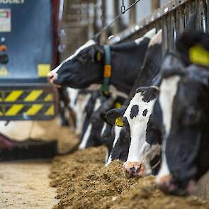 80 ton voer levert in de week levert bij Petter maar 15 kilo restvoer op.