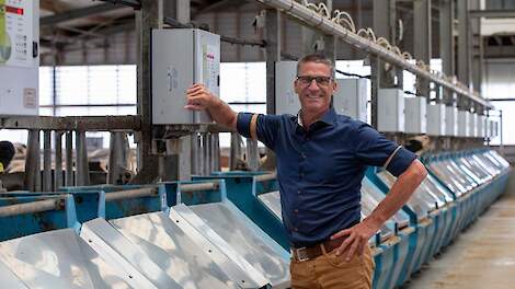 Automatisch voeren ondersteunt natuurlijk vreetgedrag en stabiele pens-pH