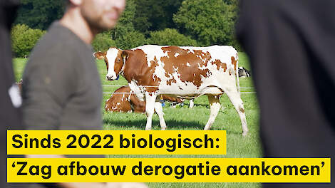 Melkveehouder sinds 2022 biologisch: ‘Zag afbouw van derogatie aankomen’
