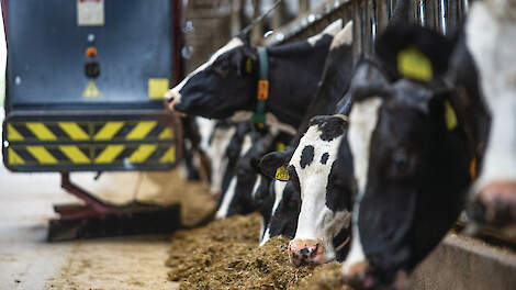 ‘Het systeem voert, maar wij sturen het’